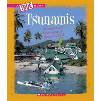 Image of TSUNAMI!